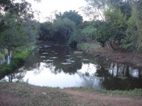 /album/galeria-de-fotos/dsc05708-jpg/