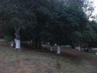 /album/galeria-de-fotos/dsc05713-jpg/