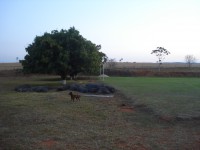 /album/galeria-de-fotos/dsc05715-jpg/